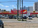 ツルハドラッグ(ドラッグストア)まで387m パ－クヒルズ南１０条