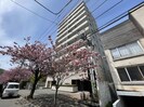 桂和レジデンス円山桜の外観