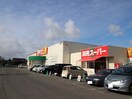卸売スーパー(スーパー)まで398m グランツ