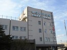豊平区役所(役所)まで612m フィーノ美園