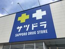 サツドラ(ドラッグストア)まで350m OMレジデンス山鼻