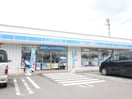 発寒15条3丁目4-1 ローソン札幌発寒15条店(コンビニ)まで250m ニューシティA