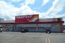 ツルハドラッグ(ドラッグストア)まで1280m チ－フアルテ・ツ－
