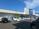 サツドラ(ドラッグストア)まで660m ＦＬＡＴ　Ｔ／Ｇ