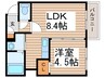 SUPERIAGE N19 WEST 1LDKの間取り
