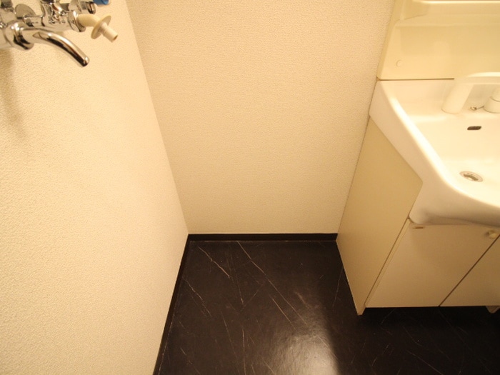 洗濯機置場 グランデディモーラ