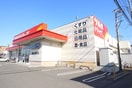 ツルハ(ドラッグストア)まで650m ＢＩＯＳ菊水元町