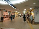 ポールタウン(地下街)(ショッピングセンター/アウトレットモール)まで10m ライオンズタワー札幌(1101)