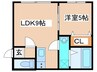 プルメリア栄通 1LDKの間取り
