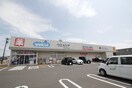 ウェルシア岩沼中央店(ドラッグストア)まで249m カーサ・ベルデC