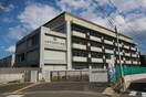 仙台新田小学校(小学校)まで1100m パレスシティ仙台　Ａ