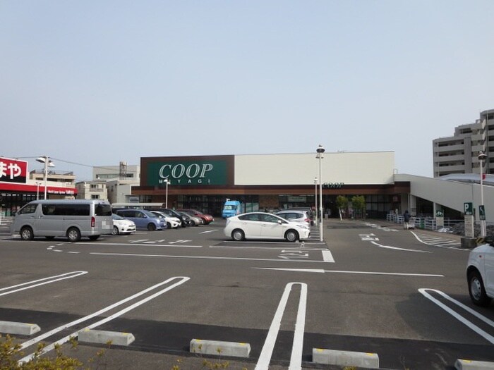 みやぎ生協　榴岡店(スーパー)まで500m Aimerest Sendai つつじ山