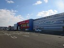 ケーズデンキ(電気量販店/ホームセンター)まで1350m アーバンハイツ中野栄