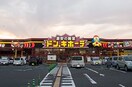 ドン・キホーテ 仙台南店(ディスカウントショップ)まで550m アム－ルモントル