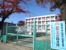 南材木町小学校(小学校)まで950m ソレイユ