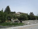 榴岡公園(公園)まで1230m コーポ中沢