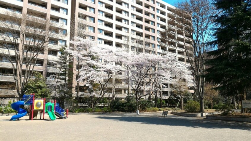 五橋公園(公園)まで350m ロータス仙台中央