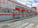 ツルハドラッグ　小田原店(ドラッグストア)まで240m 武田アパ－ト