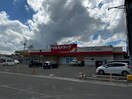 ツルハドラッグ角田中央店(ドラッグストア)まで1500m アドラブールＢ
