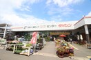 ダイシン南小泉店(電気量販店/ホームセンター)まで850m 遠見塚ビレッジⅡ