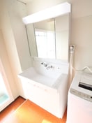 洗面 サンボルグなかくら