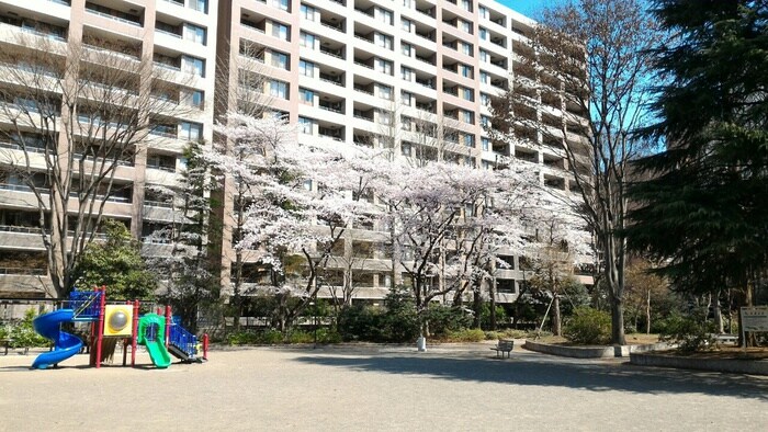 五橋公園(公園)まで230m ハイネス北目