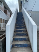 エントランス部分 オ－クヒルズⅢ