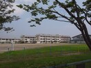 鶴ケ谷小学校(小学校)まで950m ハッピーローズ自由ケ丘