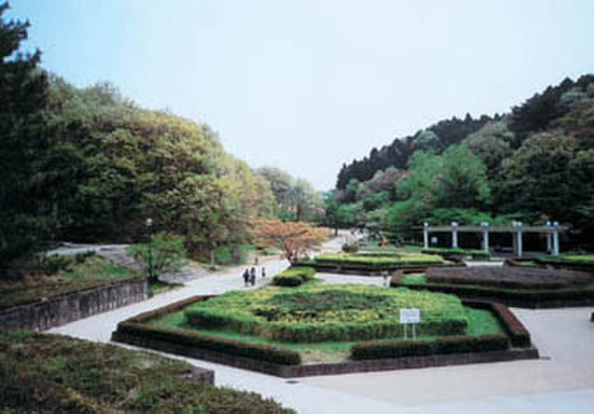 台原森林公園(公園)まで984m コーポ鷺ヶ森２１