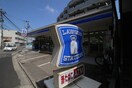 ローソン　仙台小松島店(コンビニ)まで350m サンパレス小松島