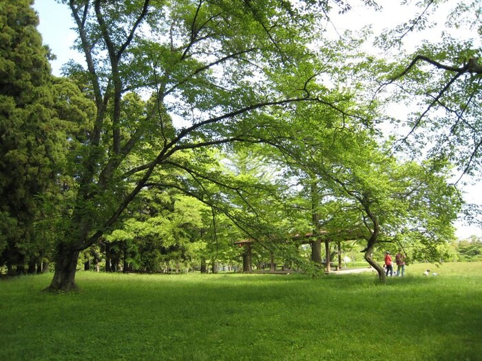 三神峯公園(公園)まで350m ポミエ西多賀