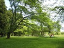 三神峯公園(公園)まで350m ポミエ西多賀
