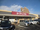 ヨークベニマル大和町店(スーパー)まで600m ユミハウス中倉