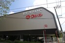 ウジエスーパー小田原店(スーパー)まで768m ラルーチェ・N