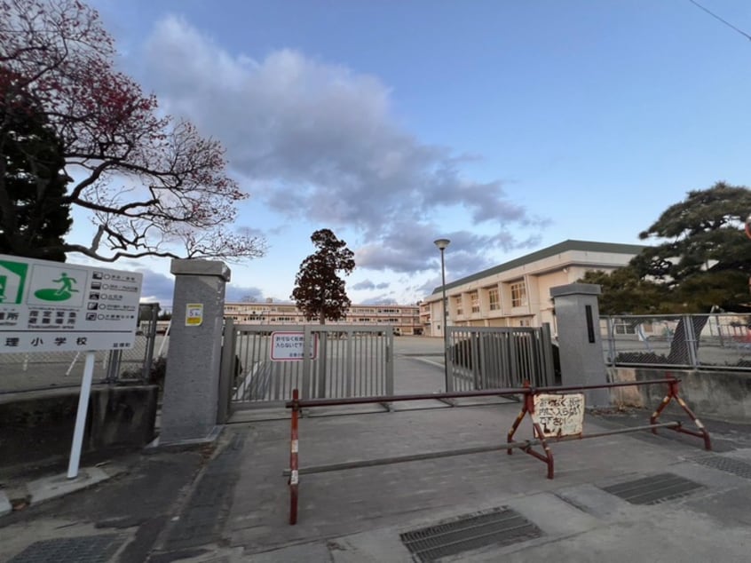 亘理町立亘理小学校(小学校)まで600m パセオプラシード弐番館