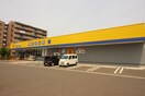 マツモトキヨシ 八乙女店(ドラッグストア)まで200m エスポワ－ル栗原