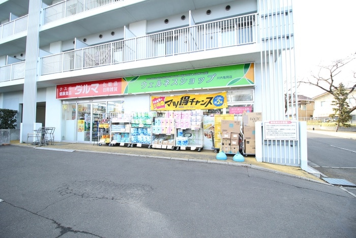 ダルマ　川内亀岡店(ドラッグストア)まで1700m リバーサイドガーデン