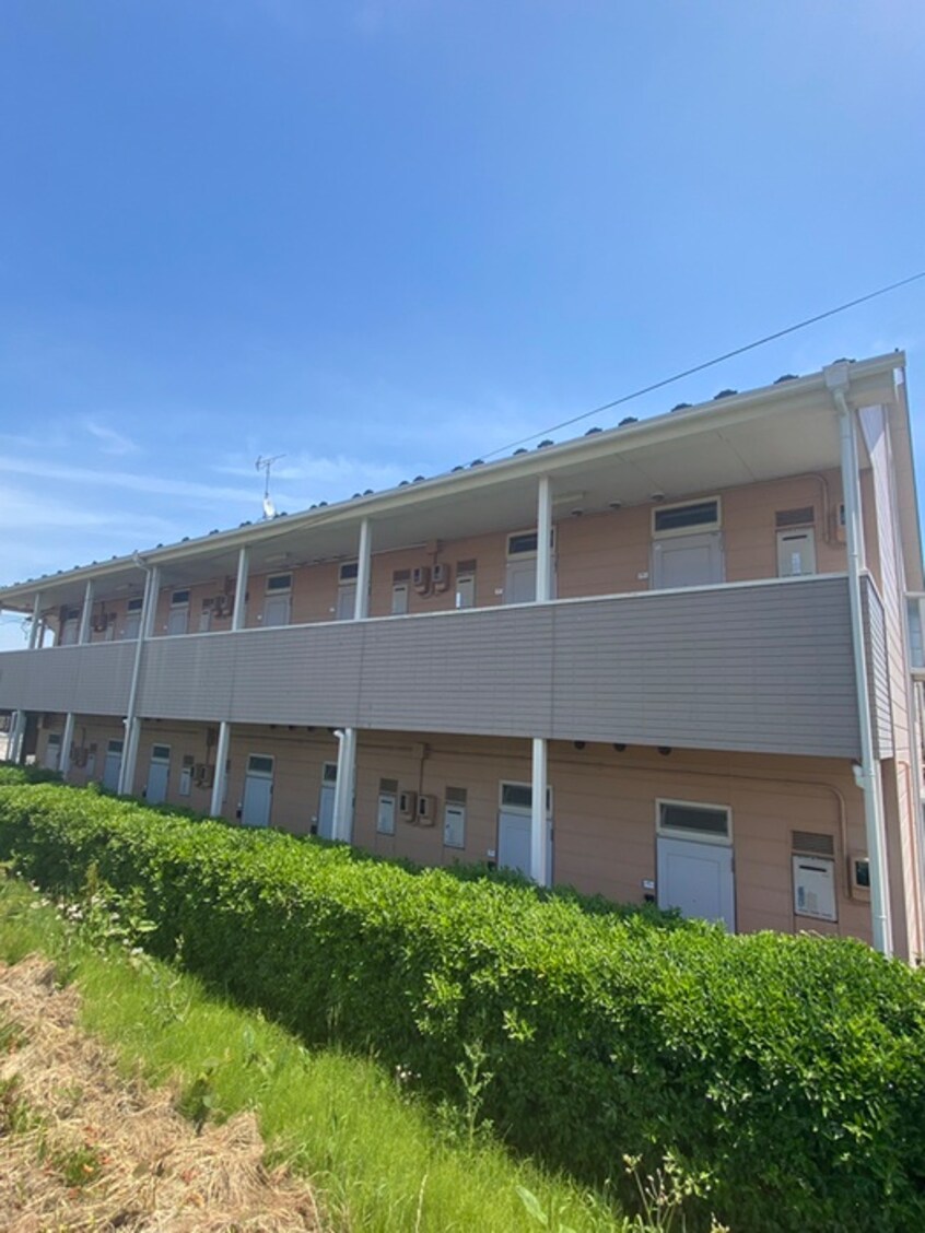 その他 ティエラ岡田