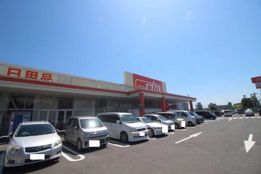 ザ・ビッグ(スーパー)まで700m ティエラ岡田