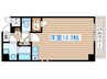 ステラハウス勾当台公園 1Rの間取り