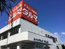 ダルマ やまと店(ドラッグストア)まで180m アポロコーポ芳栄