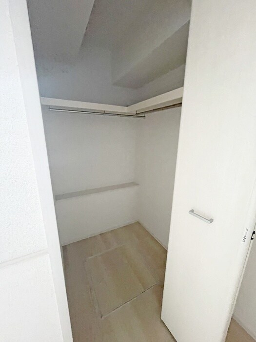 収納 サニーサーガ