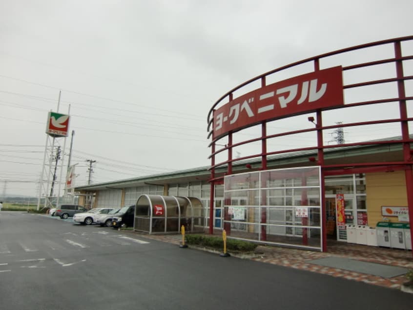 ヨークベニマル多賀城高橋店(スーパー)まで950m セリシールⅠ