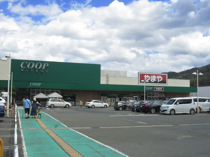 COOP 愛子店(スーパー)まで650m ナッツコ－ト