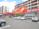 ツルハ泉中央店(ドラッグストア)まで308m Brio Teracce 泉中央