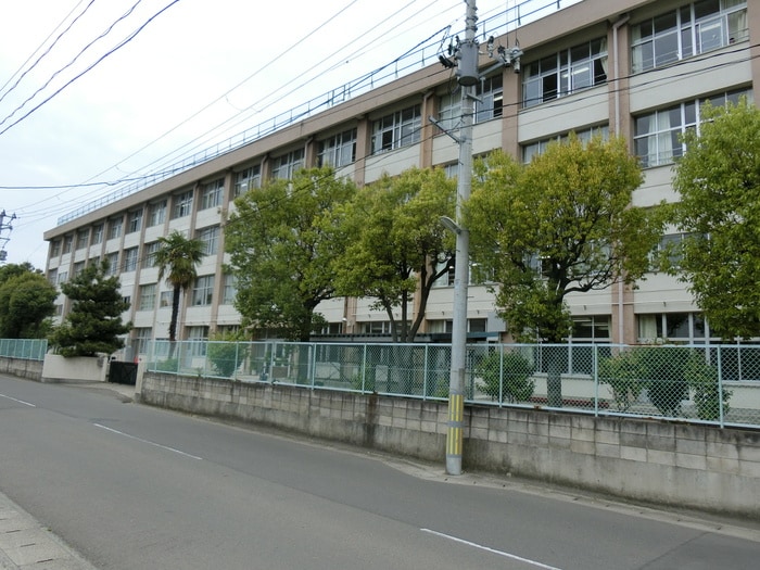 沖野小学校(小学校)まで490m コーポサトウ