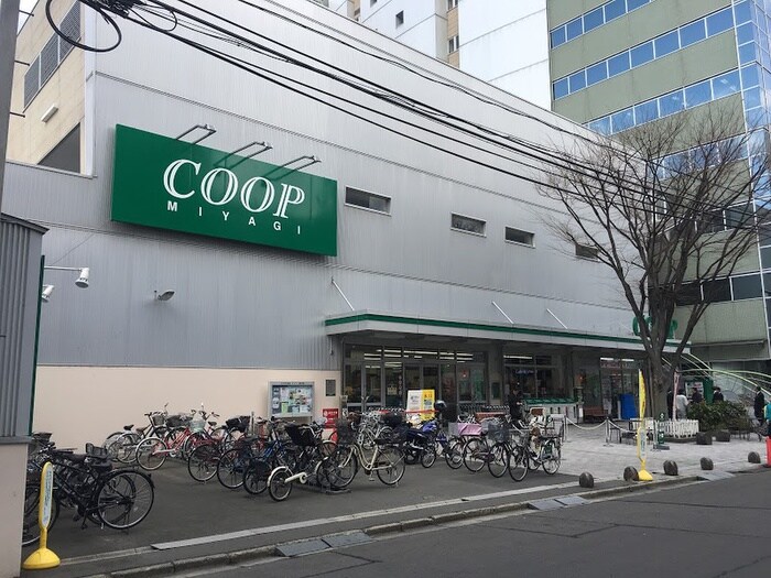 みやぎ生協　柏木店(スーパー)まで750m シャーメゾン真栄上杉