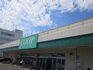 みやぎ生協　南小泉店(スーパー)まで473m ヤマコ遠見塚