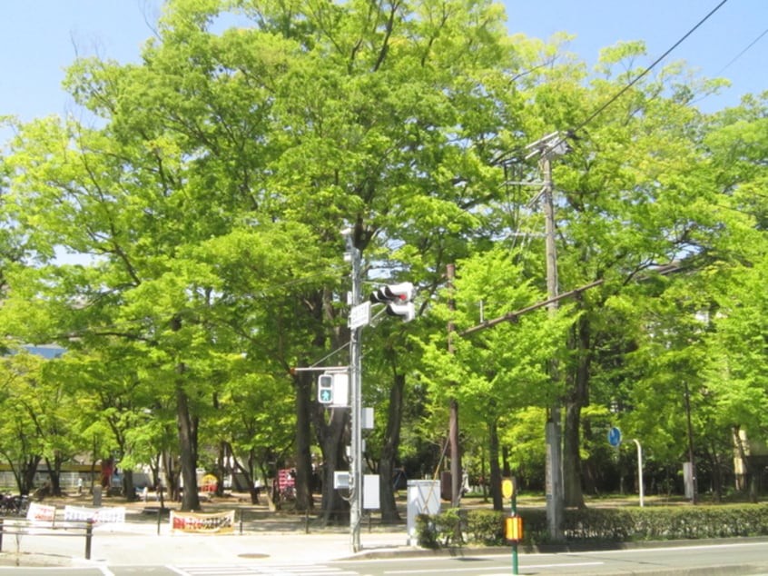 勝山公園(公園)まで350m ユナイト上杉ビル