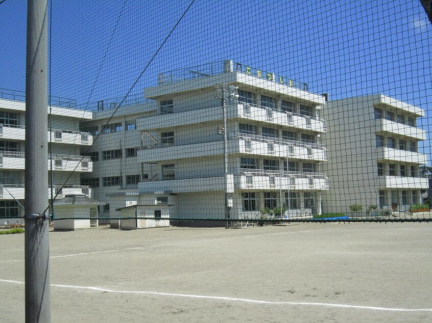 仙台市立小松島小学校(小学校)まで900m Ａｘｉｓ